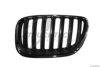 TRUCKTEC AUTOMOTIVE 08.62.265 Radiator Grille